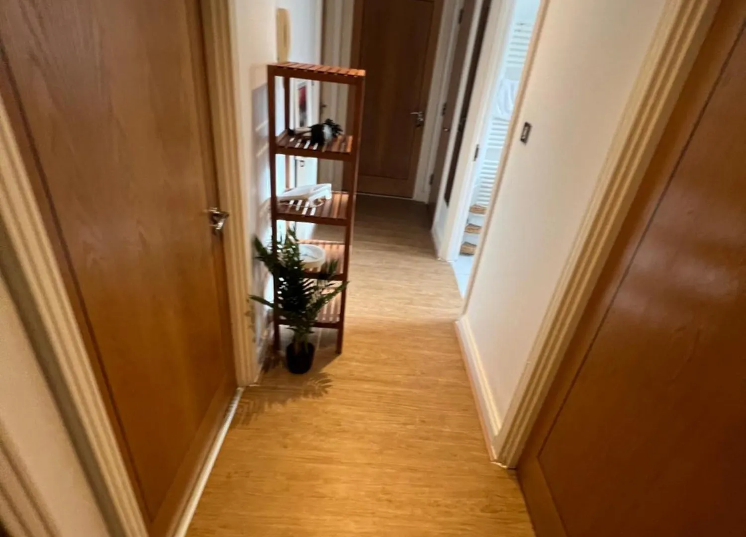 The O2 Arena Excel Canary Wharf London Apartment